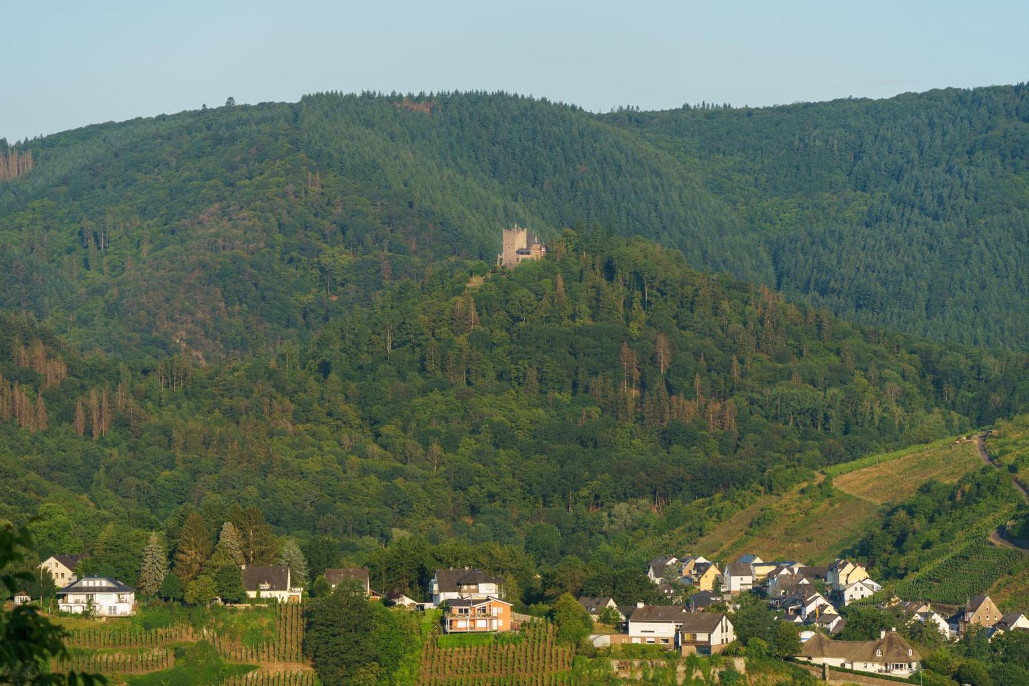 Ferienwohnung Auf Sarret บุลลาย ภายนอก รูปภาพ